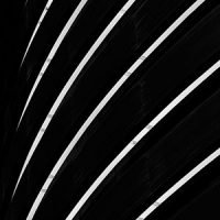 CO-7872-José-Roberto-Bassul-60-x-40-cm