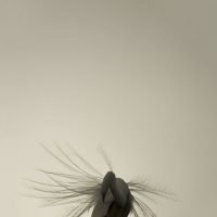 CO-7999-Rogerio-Nogueira-21-x-21-cm