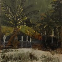 CO-8130-David-Almeida-35-x-40-cm