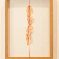 CO 8936 - Léa Juliana - 40 x 30 cm