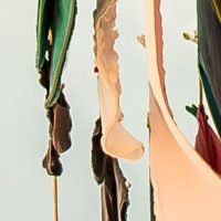 CO 8971 - Josiane Dias - 75 x 50 cm