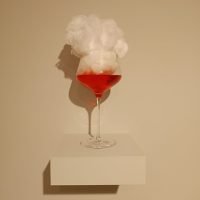 CO 9074 - André Santangelo - 22 x 11 cm (2)