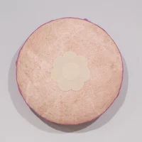 CO-9109-SamanthaCanovas-20cm