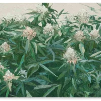 CO9478-FernandoLeite-58x80cm