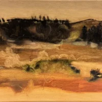 CO9664-AdrianaMarques-20x40cm