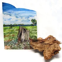 ClariceGoncalves-inventariovegetal-2024