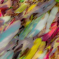 Dias_Flora_Abstrata_XX