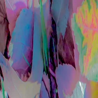 Dias_Flora_Abstrata_XXV