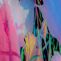 Dias_Flora_Abstrata_XXVI