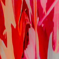 Dias_Flora_Abstrata_XXlll