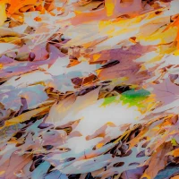 Flora_Abstrata_XlX