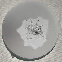 SOPA PRIMORDIAL XI - CO 8761 - Patrícia Bagniewski - 10 x 8 cm_site