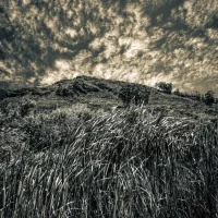 cidade do cabo - fred lamego