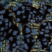dio-viana-06