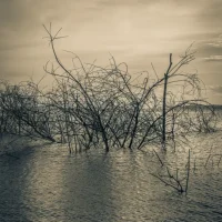 fred_lamego_expoMAR26-15