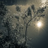 fred_lamego_expoMAR26-17