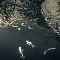 fred_lamego_expoMAR26-24