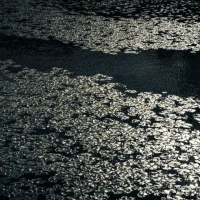 fred_lamego_expoMAR26-25