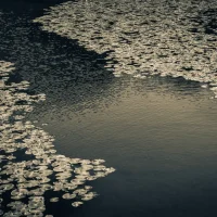 fred_lamego_expoMAR26-26