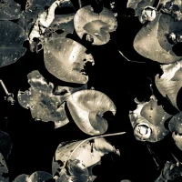 fred_lamego_expoMAR26-31