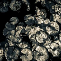 fred_lamego_expoMAR26-32