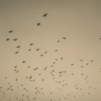 fred_lamego_expoMAR26-35