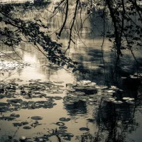 fred_lamego_expoMAR26-36